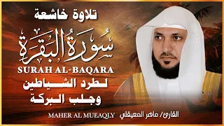 الشيخ ماهر المعيقلي  سورة البقرة  النسخة الأصلية  Surat Albaqra Official Audio
