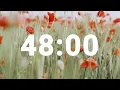 48 Minute Timer with Soothing Music Stress Relief Countdown Clock