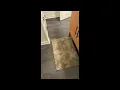 Affordable MIULEE Camel Bathroom Rugs Set 2 Piece Soft Absorbent Microfiber Bath Mat Set Non Slip