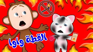 القطة واوا وناسة قناة الفنانة لولو 