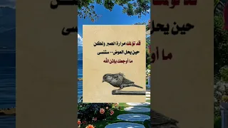 قد تؤلمك مرارة الصبر ولكن حالات واتس خواطر عبارات روائع حكمة اليوم Shorts Story ستوريات علم النفس 