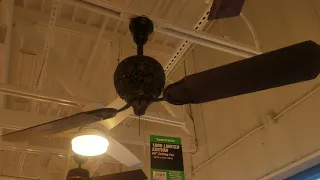 Tour of Menards Ceiling Fan Lighting Department including Showroom Special order