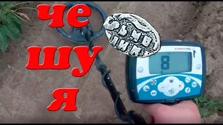 Download Сигналы и находки с Minelab X-TERRA 705 MP3