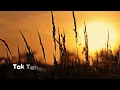 Lirik || Tak Tahan Lagi - Melly Goeslaw