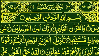 Surah Yaseen || Surah Ar Rahman || Most Beautiful Quran Recitation Full HD #quran