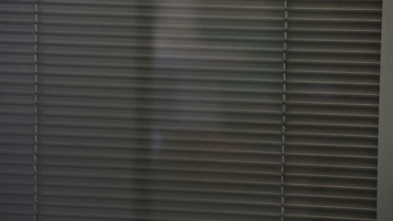 Venetian Integral Blinds with Cordless Slider