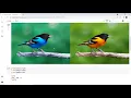 Basic Open-CV Google Colab and Histogram of image in Python Image Processing Python Histogram