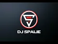 Download Lagu DJ Spalie Leka Kuier Online Radio Station ( 15.11.2024 )
