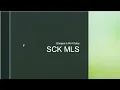 MLS Rules on data input
