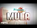 Plumpy Boss - Mula Visualizer