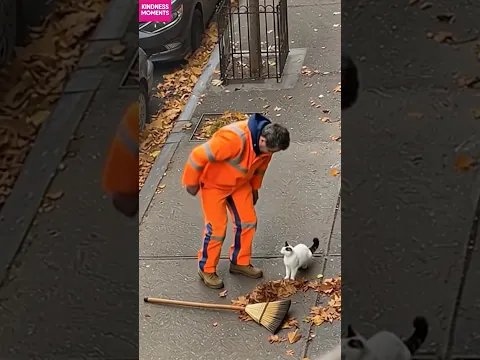 Kindness ❤️ Sweeper's Heartwarming Moment with a Cat #kindness #streetcat #shorts