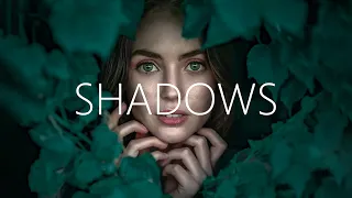 Download Seven Lions, Wooli \u0026 Amidy - Shadows (Lyrics) MP3