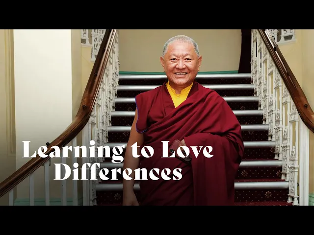 Celebrating Diversity: Buddhist Wisdom for Finding Joy in Differences | Ringu Tulku