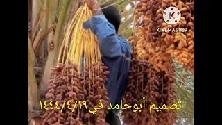 توكلت في رزقي على الله خالقي دندنها
