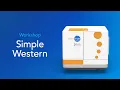 Workshop Total Protein and Protein Normalization with Simple Western