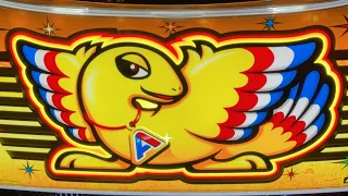 新台アレックス最速ライブ配信 