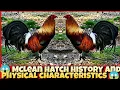 McLean hatch History and physical characteristics