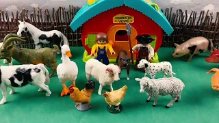 NEW FARM ANIMALS / NOVOS ANIMAIS DA FAZENDA