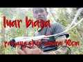 Download Lagu cara memikat burung tali pocong/sariwang..cm pakai mp3
