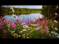 Download Lagu Очень Нежная Музыка Любви, Сборник самых невероятных мелодий! Божественная музыка трогает душу!
