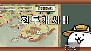 생) 냥코대전쟁 할거 아무거나 추천해주실분