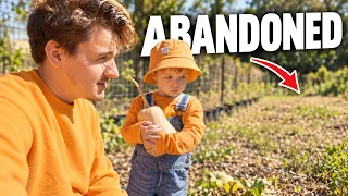 Rebuilding an Abandoned Homestead With My Son - Day 1