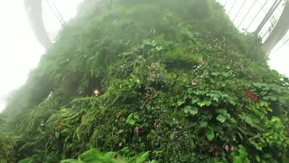 Cloud Forest, Singapore