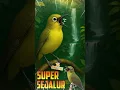Download Lagu Masteran Pleci Tembakan Super Sejaluran