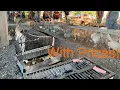 Hot Deals at the Amish Animal Auction Fancy Pigeons