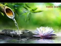 Download Lagu suara air dan piano - relaksasi , menenangkan pikiran ,