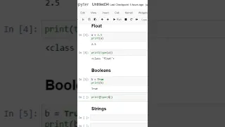 Python Basic-Datatypes - Integers Float booleans strings