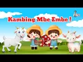 Lagu Lagu Anak populer❗ LAGU KAMBING MBE EMBE - MAZAYA❗  Lirik Lagu Anak Indonesia Viral❗Balita