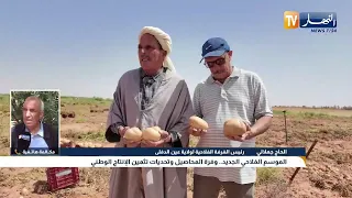 الموسم الفلاحي الجديد.. وفرة المحاصيل وتحديات تثمين الإنتاج الوطني