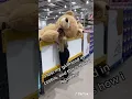 Buy giant teddy bear Costco
