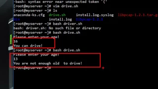 IF statement in bash scripting