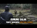 Lagu TEMPAT BERKUMPULNYA ROH LELUHUR...! Menguak Misteri Gunung Salak, Tempat Berkumpulnya Roh Leluhur