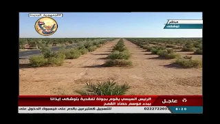 جولة تفقدية للرئيس السيسي لبدء موسم حصاد القمح فى توشكي 