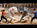 Download Lagu 🦁 Legendary White Lion vs Savage Wolf | Arena Clash | Who Wins?