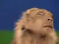 Weezer - Pork And Beans (Official Music Video)