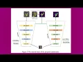 Visually Image Encryption and Compression using a CNN-Based Autoencoder