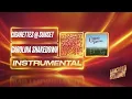 Cigarettes @ Sunset - Carolina Shakedown (Instrumental)