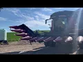 2018 Drago GT Corn Head