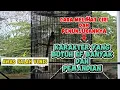 Download Lagu KARAKTER INI BUTUH EF DAN MANDI