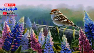 طرب حالات واتس فريد الأطرش 5 