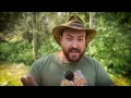 31 People Saw Bigfoot. Then Things Got Much Stranger
