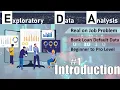 EDA on Real Life on Job Banking Data Using Python Introduction
