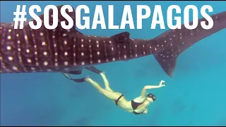 Wildlife Conservation | Chinese Vessels Overfishing Galapagos Islands