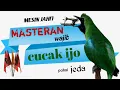 Download Lagu masteran MESIN JAHIT isian wajib CUCAK IJO