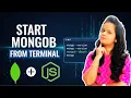 How to Start MongoDB from Terminal Launch MongoDB Using Command Line