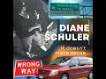 Diane Schuler crash what happened